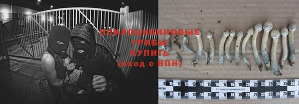 молекула духа Алзамай