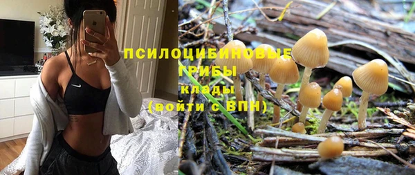 молекула духа Алзамай
