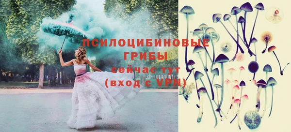 мяу мяу мука Алексин