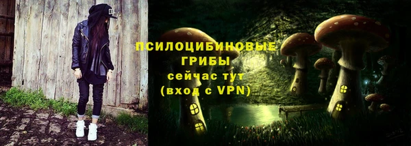 молекула духа Алзамай