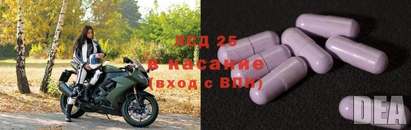 мяу мяу мука Алексин