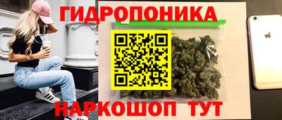 эйфоретик Ставрополь