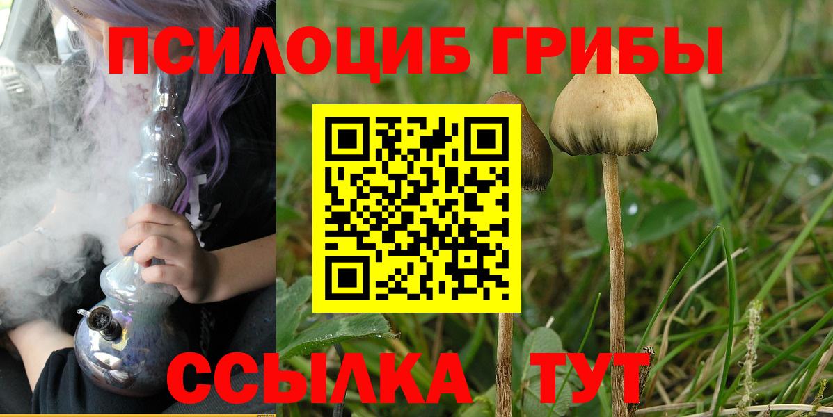 Топки  Псилоцибиновые грибы Cubensis  Вход с VPN 
